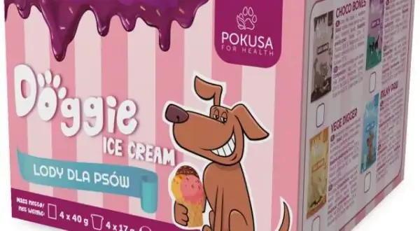 Gdzie kupić lody dla psa? Sprawdź najlepsze miejsca i oferty