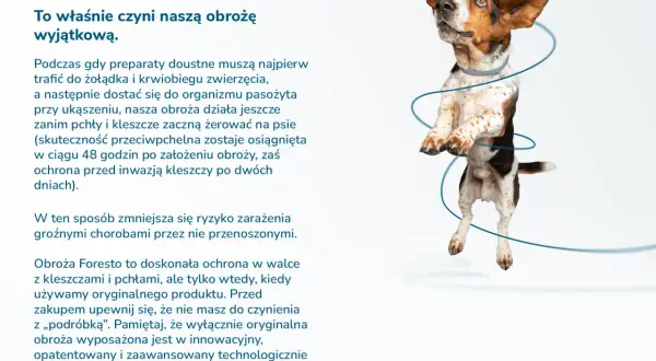 Jak zabezpieczyć szczeniaka przed kleszczami i uniknąć zagrożeń zdrowotnych