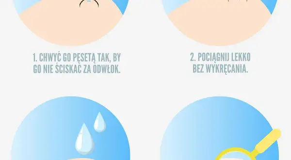 Co zrobić po wyciągnięciu kleszcza? Kluczowe kroki, aby uniknąć problemów