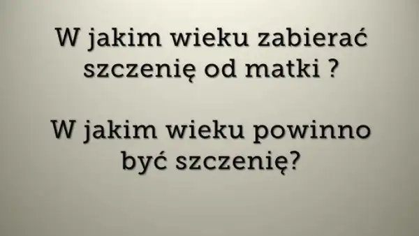 Ile szczeniak powinien być przy matce, aby uniknąć problemów zdrowotnych?